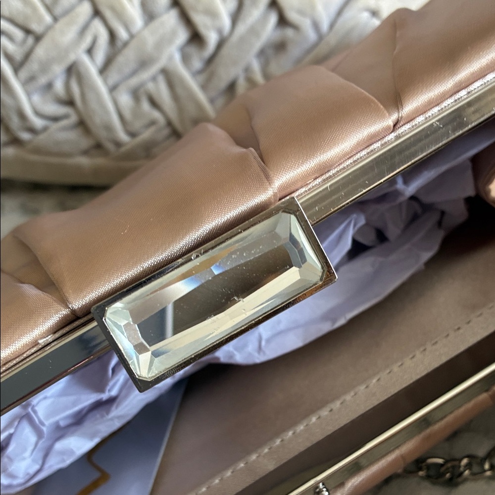 Charming Champagne Organza Clutch with Chain Strap NWT - Picture 3 of 12
